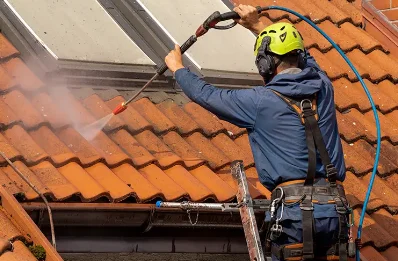 Démoussage et hydrofuge de toiture à Lapeyrugue